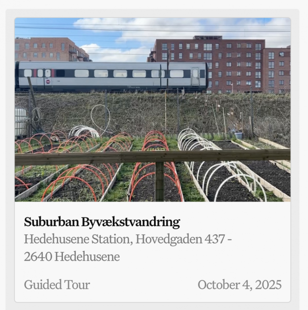 bienniale2025.png