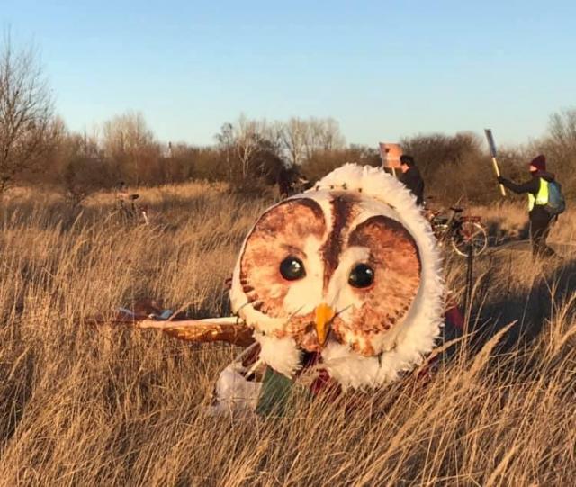 Uglen på Amager Fælled